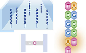 XYZ "Sequencing-by-Synthesis" genome sequencing used for fight against COVID-19